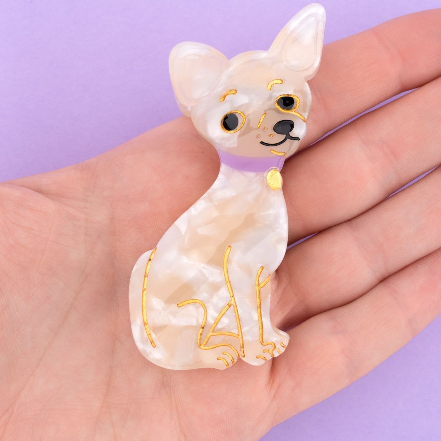 Molletta a pinza Chihuahua