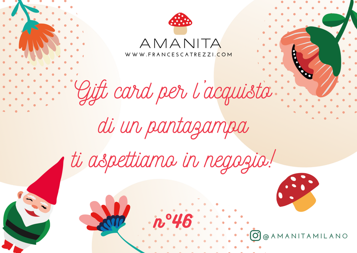 Pantazampa regalo