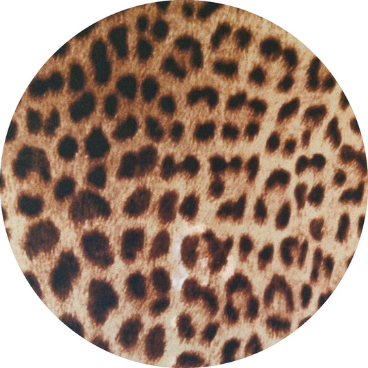 Pantazampa leopardato elasticizzato