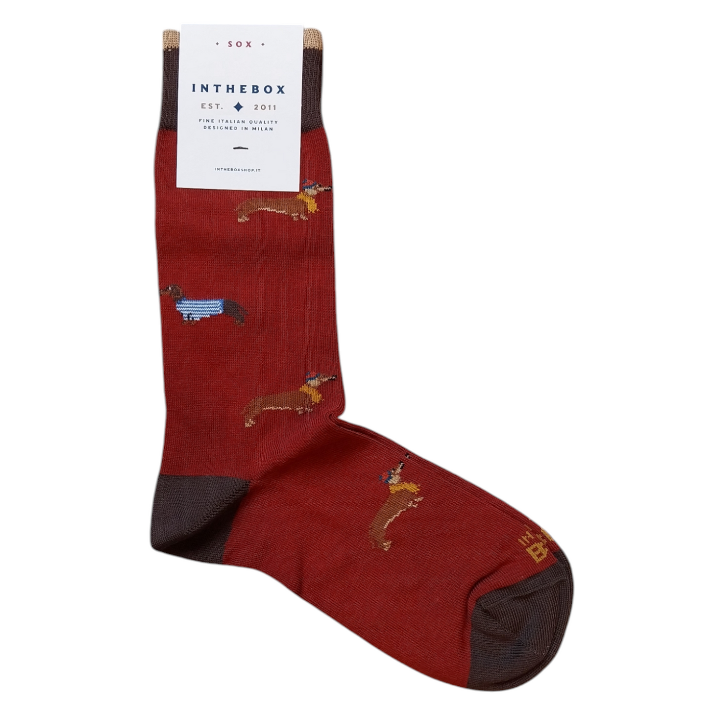 Calze in the box corte Bassotto dog short rosso terracotta