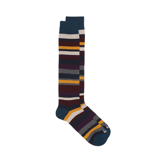 Calze in the box lunghe righe stripes verde multicolor