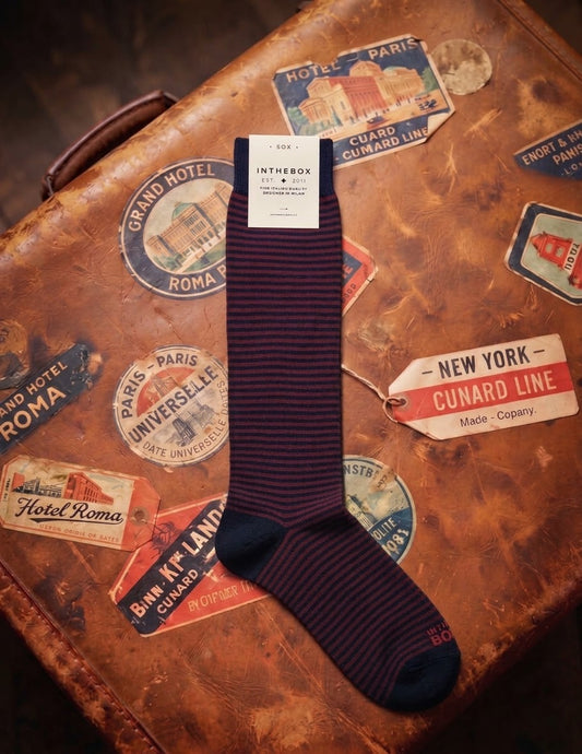 Calze lunghe Stripe Classic Blu marrone