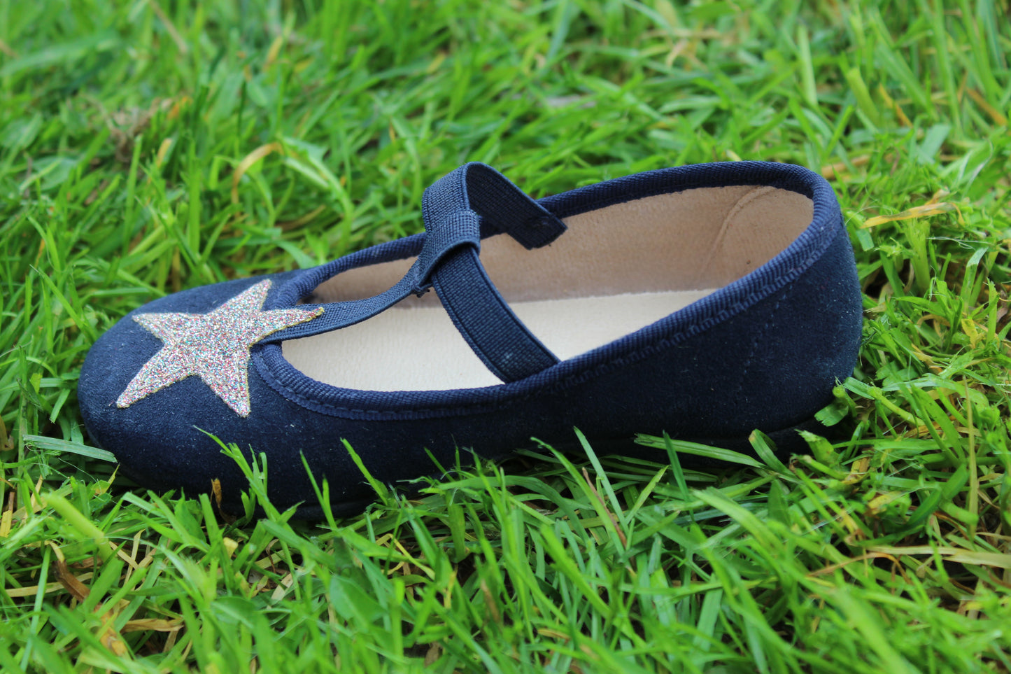 Ballerine stella blu scamosciate